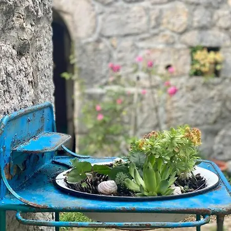 Flower House In Kozica * Vrgorac
